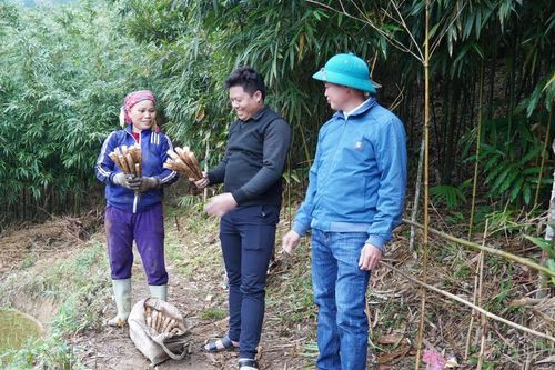 Tháng Ba – mùa măng sặt