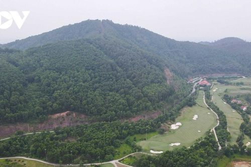Nghệ An đề xuất chuyển đổi hơn 200ha đất rừng làm dự án sân golf 2.150 tỷ đồng