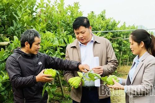 Cụ thể hóa nghị quyết, tạo động lực phát triển kinh tế từ cơ sở