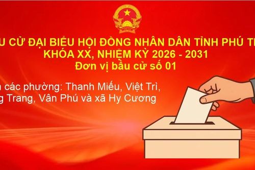 Đơn vị bầu cử số 01