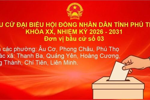Đơn vị bầu cử số 03