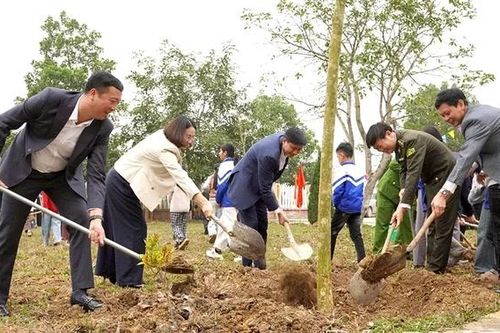 Hạt Kiểm lâm Thanh Sơn chủ động trồng rừng đầu xuân