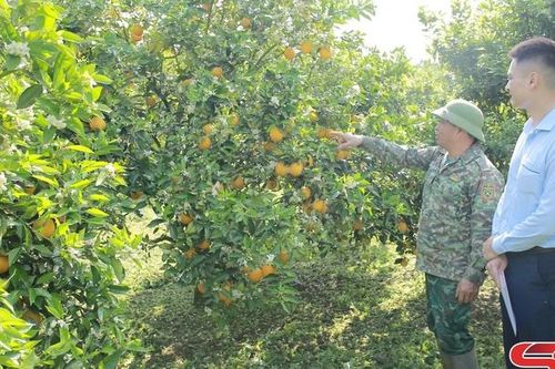 Kênh dẫn vốn phục vụ sản xuất, kinh doanh hiệu quả