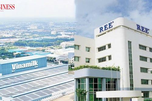 Cổ đông Singapore quyết rút vốn tại Vinamilk, kiên trì gia tăng sở hữu tại REE