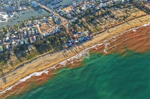 Nguyên nhân xuất hiện vệt nước màu nâu đỏ kỳ lạ dài hơn 1km ở biển Gia Lai