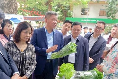 Giữ vững vùng nguyên liệu để ổn định xuất khẩu nông sản