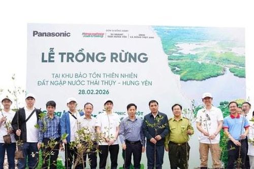 Trao tặng 9.000 cây bần chua phục hồi rừng ngập mặn ven biển