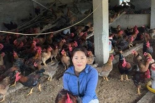Tấm gương phụ nữ vượt khó làm giàu trên mảnh đất quê hương