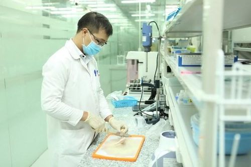 Bộ Y tế nhắc chuẩn hóa kiểm nghiệm xác định độc tố cereulide với sữa, sản phẩm dinh dưỡng