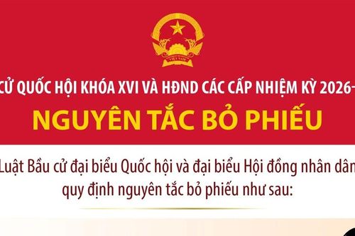 Bầu cử Quốc hội và HĐND: Nguyên tắc bỏ phiếu