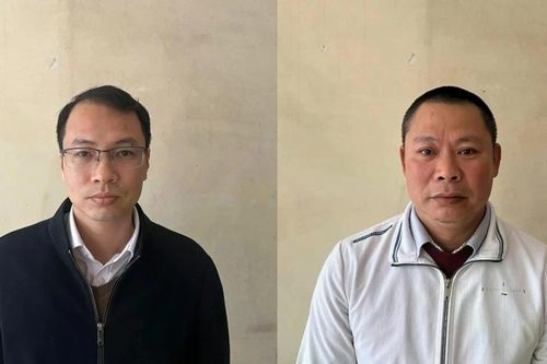 Khởi tố 2 'cò đất' trốn thuế gần 500 triệu đồng
