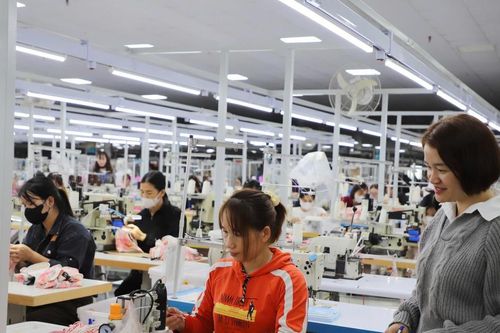 Nhịp máy rộn ràng khởi động mùa sản xuất mới ở Tuyên Quang