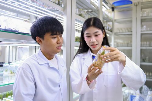Học bổng tiền tỷ cho thủ khoa, á khoa đại học năm nay