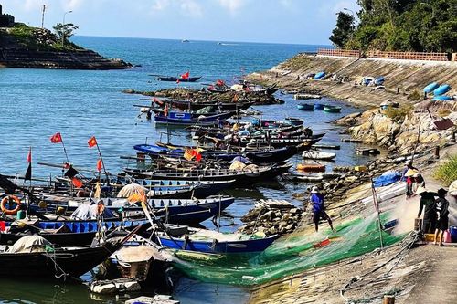 Mô hình mới trong quản lý Khu sinh quyển Cù Lao Chàm - Hội An
