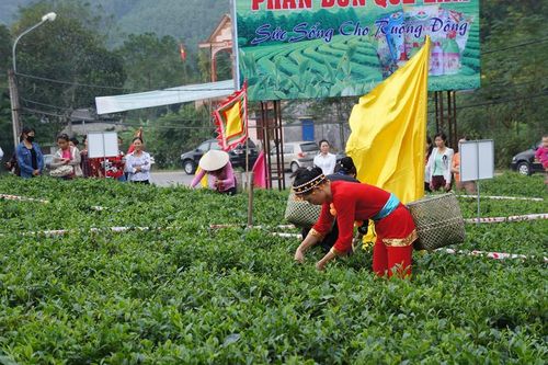 Công nghệ số mở lối cho 'thủ phủ trà'