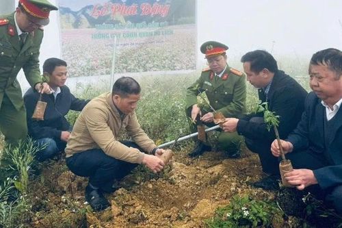 Lũng Cú phát động trồng cây ăn quả gắn phát triển du lịch xanh