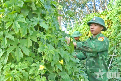 Hiệu quả kép từ công tác tăng gia, chăn nuôi