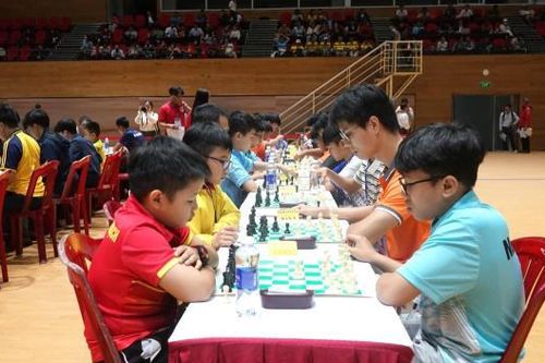 Hơn 500 kỳ thủ tranh tài tại Giải Cờ vua, Cờ tướng Đại hội TDTT thành phố Đà Nẵng lần thứ X
