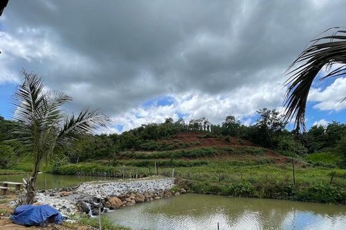 Kiện hàng xóm lấn đất, ra tòa mới biết ranh giới thật của thửa đất