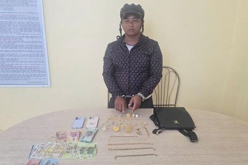 Truy vết thần tốc, bắt giữ đối tượng trộm cắp tài sản từ Tây Ninh về Đồng Tháp