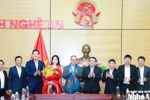Phó Chủ tịch UBND tỉnh Nghệ An Phùng Thành Vinh làm việc với Quỹ Pavo Capital Group