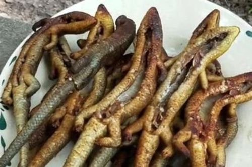 Đặc sản nhìn 'sợ khiếp vía' xưa không dám ăn nay 350.000 đ/kg vẫn có người xuống tiền