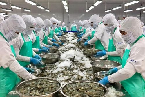Xuất khẩu tôm khởi sắc đầu năm