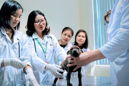 Khi phụ nữ vun đắp 'đất lành' cho khoa học, nông nghiệp