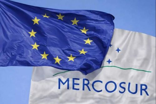 EU thông qua quy định bảo vệ nông sản trong hợp tác thương mại với Mercosur