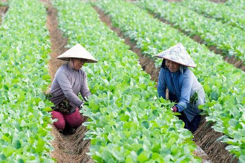 Bình Hòa phát huy nội lực vươn lên