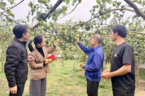 Xã An Lạc: Tạo sinh kế, khơi dậy ý chí thoát nghèo