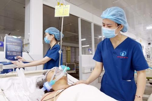 Những 'bóng hồng' nơi lằn ranh sinh tử