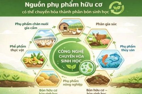 Kinh tế chất thải và tiềm năng phát triển