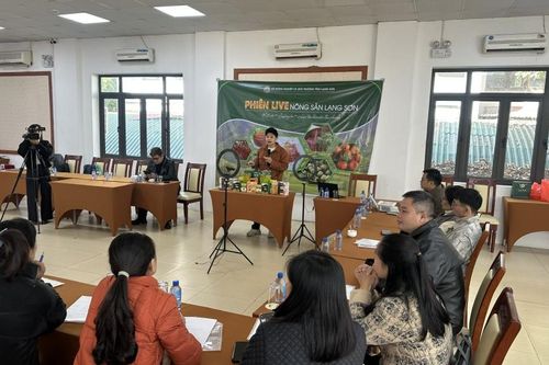 Phụ nữ với số hóa