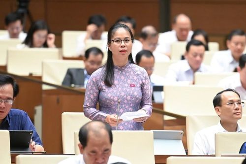 Tự hào là nữ đại biểu dân cử