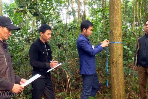 Phường Âu Lâu quan tâm bố trí tái định cư cho người dân