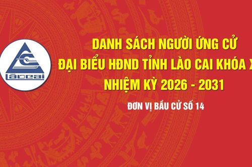 Tiểu sử tóm tắt những người ứng cử đại biểu HĐND tỉnh Lào Cai khóa XVII, nhiệm kỳ 2026 - 2031 (Đơn vị bầu cử số 14)