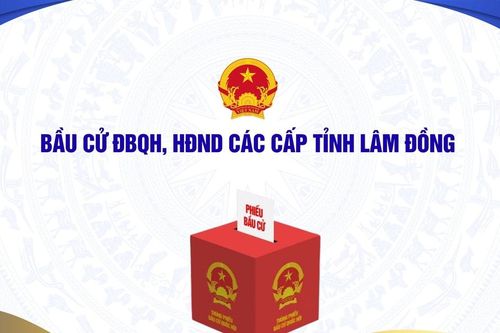 Bầu cử ĐBQH, HĐND các cấp tỉnh Lâm Đồng