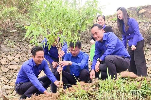 Khởi động Tháng Thanh niên năm 2026 với nhiều hoạt động vì cộng đồng