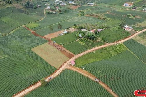 Đồng hành cùng nhân dân phát triển sản xuất
