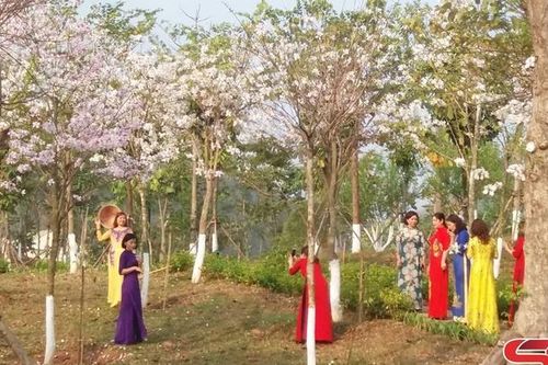 Lửa ấm trong nhà