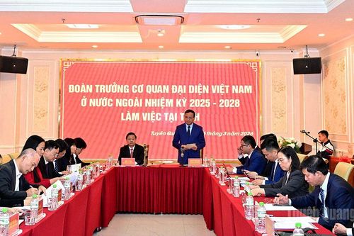 Phó Chủ tịch Thường trực UBND tỉnh Nguyễn Mạnh Tuấn tiếp, làm việc với Đoàn Trưởng Cơ quan đại diện Việt Nam ở nước ngoài nhiệm kỳ 2025-2028