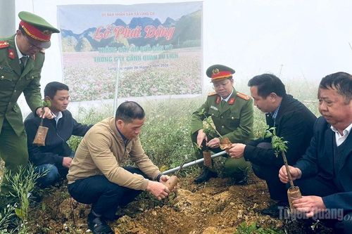 Phát động trồng trên 800 cây xanh tại xã biên giới Lũng Cú