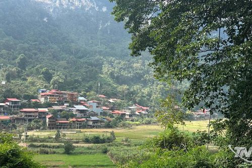 Trăn trở Pác Ngòi