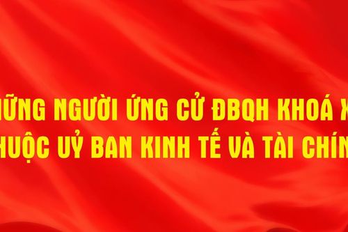 Những người ứng cử ĐBQH khóa XVI thuộc Ủy ban Kinh tế và Tài chính