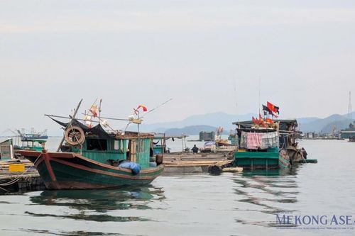 Sản xuất nông nghiệp tháng 2/2026: Điểm sáng từ thủy sản