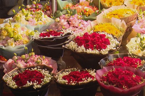 Rực rỡ sắc hoa tại chợ hoa Quảng Bá