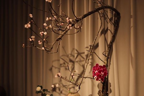 Triển lãm 'Gió Đông' - Nghệ thuật hoa đạo Nhật Bản tại Hà Nội