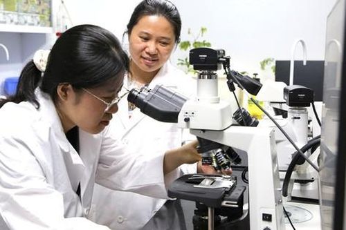 Quỹ học bổng quốc gia - tiếp sức cho nữ giới chinh phục các ngành STEM