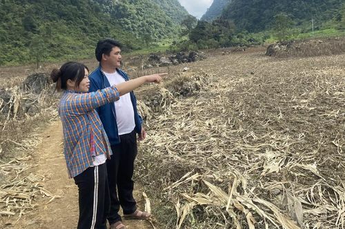 Bí thư Chi bộ 'đi trước mở đường' ở xóm Lũng Chuống